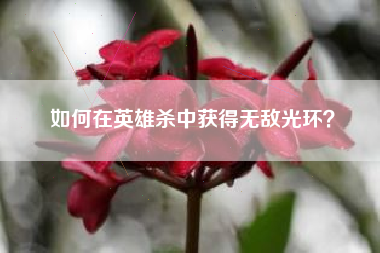 如何在英雄杀中获得无敌光环？  第1张