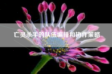 亡灵杀手的队伍编排和协作策略  第1张