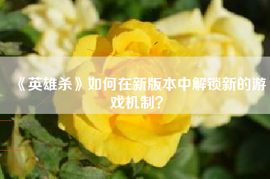 《英雄杀》如何在新版本中解锁新的游戏机制？  第1张