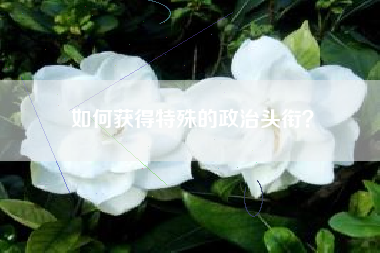 如何获得特殊的政治头衔？  第1张