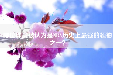 哪位球员被认为是NBA历史上最强的领袖之一？  第1张