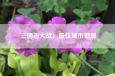 三国志大战：最佳城市管理  第1张