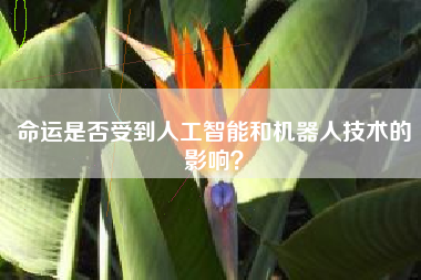 命运是否受到人工智能和机器人技术的影响？  第1张