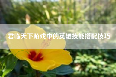 君临天下游戏中的英雄技能搭配技巧  第1张