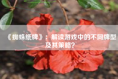 《蜘蛛纸牌》：解读游戏中的不同牌型及其策略？  第1张