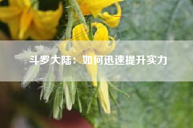 斗罗大陆：如何迅速提升实力  第1张