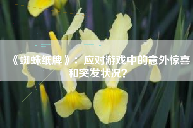《蜘蛛纸牌》：应对游戏中的意外惊喜和突发状况？  第1张