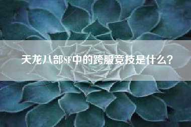 天龙八部SF中的跨服竞技是什么？  第1张