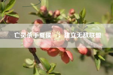 亡灵杀手夏侯惇：建立无敌联盟  第1张