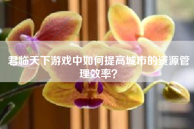 君临天下游戏中如何提高城市的资源管理效率？  第1张
