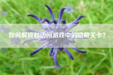如何解锁和访问游戏中的隐藏关卡？  第1张