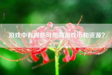 游戏中有哪些可用的游戏币和资源？  第1张