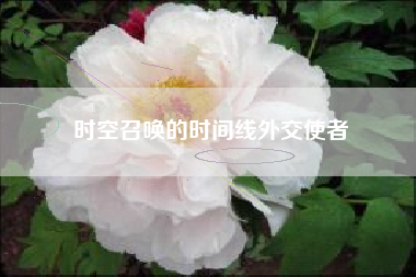 时空召唤的时间线外交使者  第1张