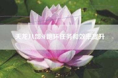 天龙八部SF跑环任务和效率提升  第1张