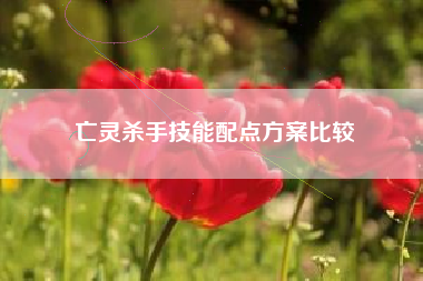 亡灵杀手技能配点方案比较  第1张