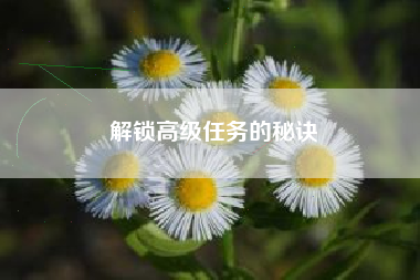 解锁高级任务的秘诀  第1张