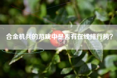 合金机兵的游戏中是否有在线排行榜？  第1张
