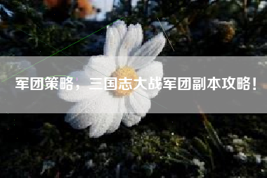 军团策略，三国志大战军团副本攻略！  第1张