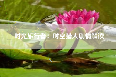 时光旅行者：时空猎人剧情解读  第1张