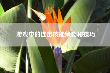 游戏中的连击技能策略和技巧  第1张
