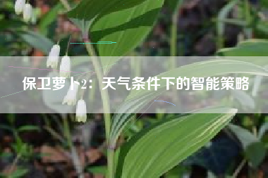保卫萝卜2：天气条件下的智能策略  第1张