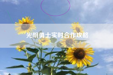 光明勇士实时合作攻略  第1张