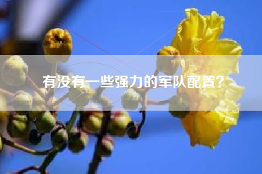 有没有一些强力的军队配置？  第1张