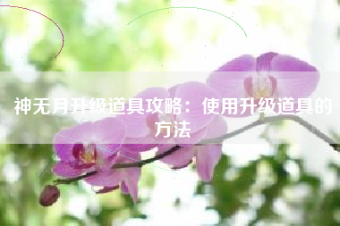 神无月升级道具攻略：使用升级道具的方法  第1张