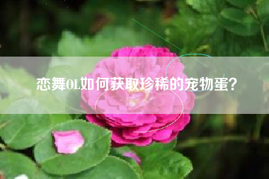 恋舞OL如何获取珍稀的宠物蛋？  第1张