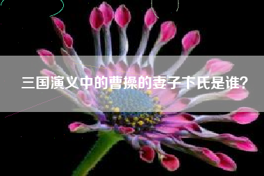 三国演义中的曹操的妻子卞氏是谁？  第1张