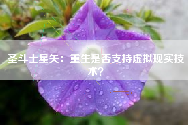 圣斗士星矢：重生是否支持虚拟现实技术？  第1张