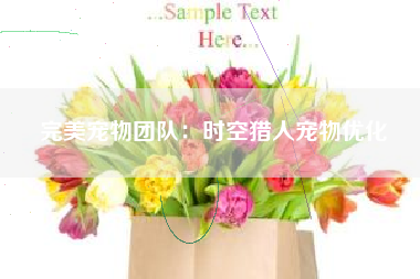 完美宠物团队：时空猎人宠物优化  第1张