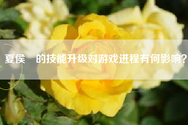 夏侯惇的技能升级对游戏进程有何影响？  第1张