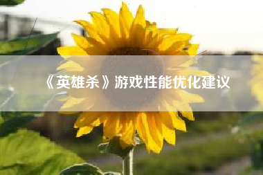 《英雄杀》游戏性能优化建议  第1张