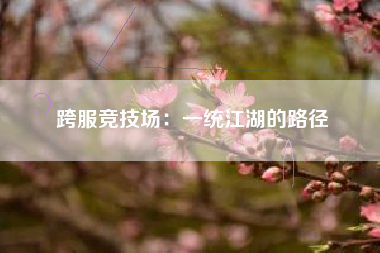 跨服竞技场：一统江湖的路径  第1张