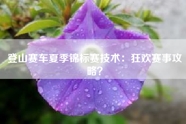 登山赛车夏季锦标赛技术：狂欢赛事攻略？  第1张