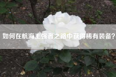 如何在航海王强者之路中获得稀有装备？  第1张