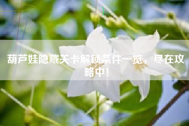葫芦娃隐藏关卡解锁条件一览，尽在攻略中！  第1张