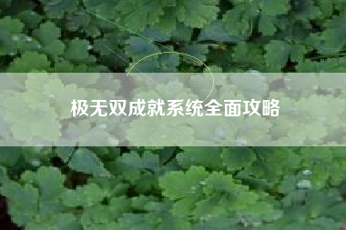 极无双成就系统全面攻略  第1张