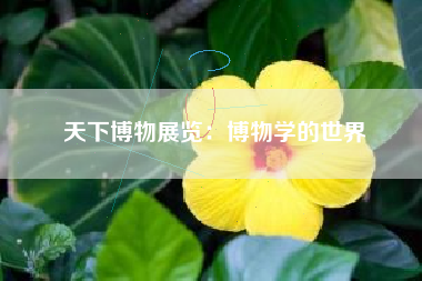 天下博物展览：博物学的世界  第1张
