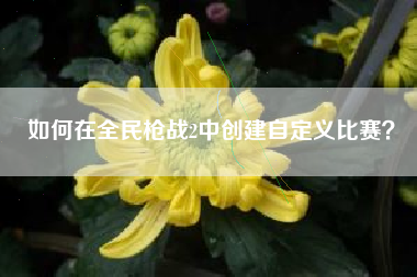 如何在全民枪战2中创建自定义比赛？  第1张