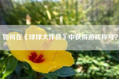 如何在《球球大作战》中获得游戏称号？  第1张