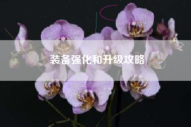 装备强化和升级攻略  第1张