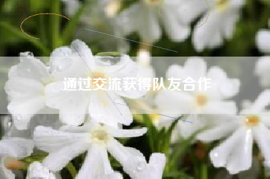 通过交流获得队友合作  第1张