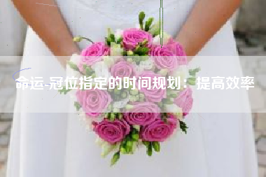 命运-冠位指定的时间规划：提高效率  第1张