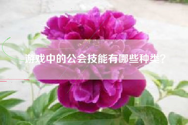 游戏中的公会技能有哪些种类？  第1张