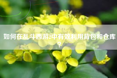 如何在乱斗西游2中有效利用背包和仓库？  第1张
