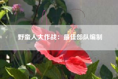 野蛮人大作战：最佳部队编制  第1张
