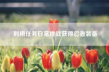 利用任务日常挑战获得忍者装备  第1张