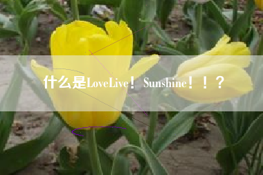 什么是LoveLive！Sunshine！！？  第1张